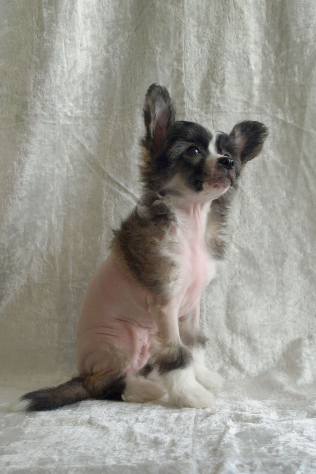 Rouber Balt Rammstein