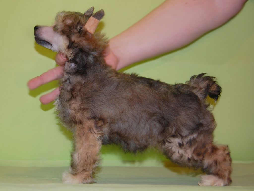 True Magnifisen Infant