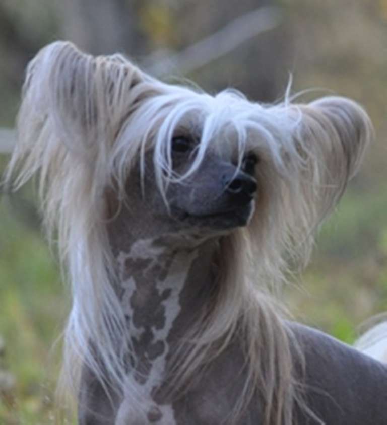 Habiba Artic Adventure