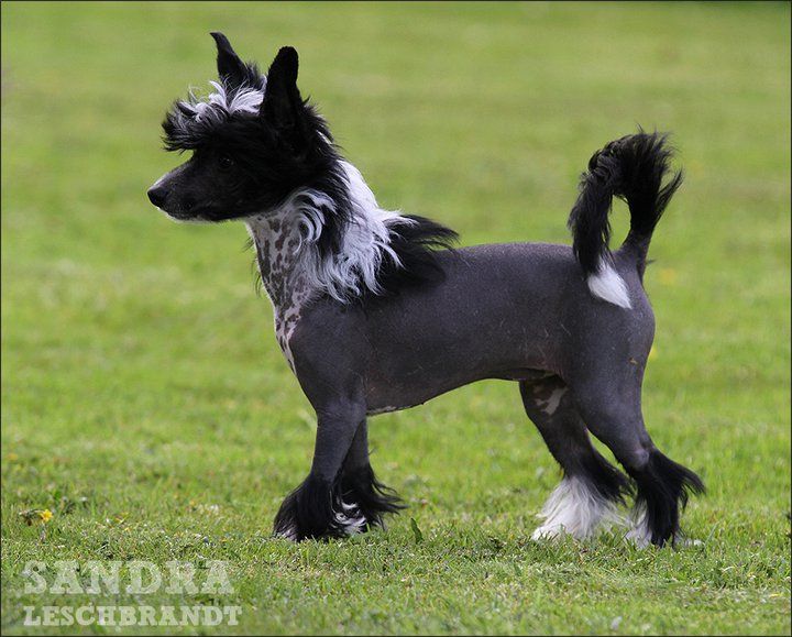 Baila Conmigo Avokaduh Lane