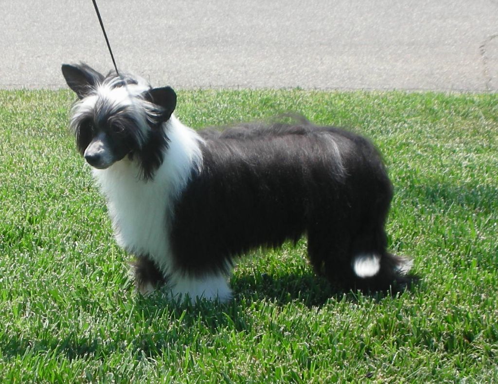 Jewels Lost My Way to Zokasan