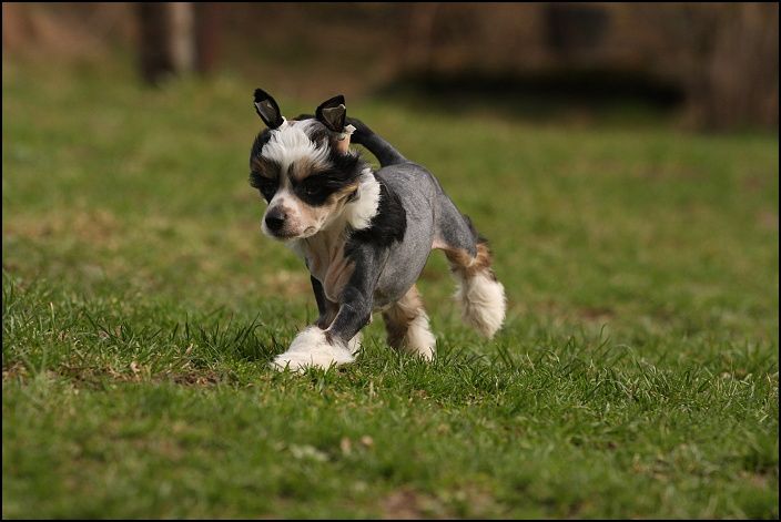 Billy Elliot Avokaduh Lane