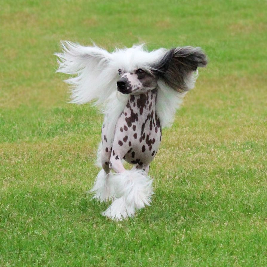 Vanitonia Reality Check