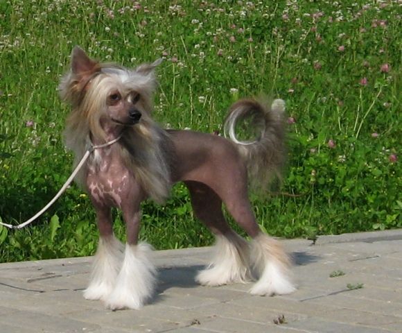 Melanies Rerity Evita Oranjey