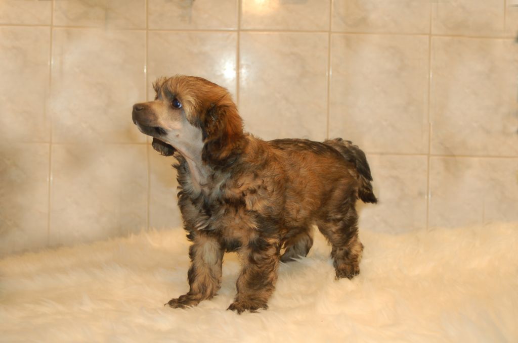 De La Mahafu's DiLove Jackpot