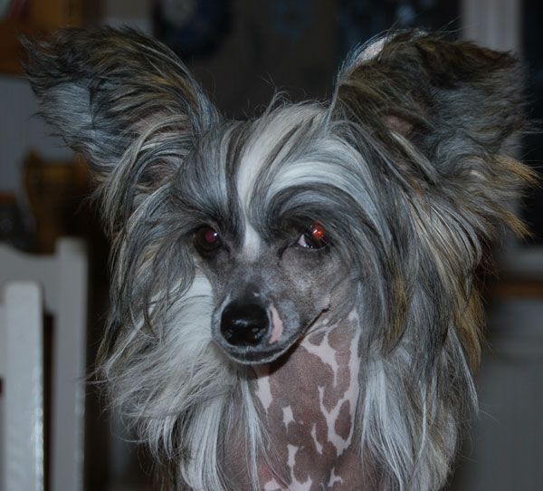 Beauty Of Xlnz Four Happy Hearts