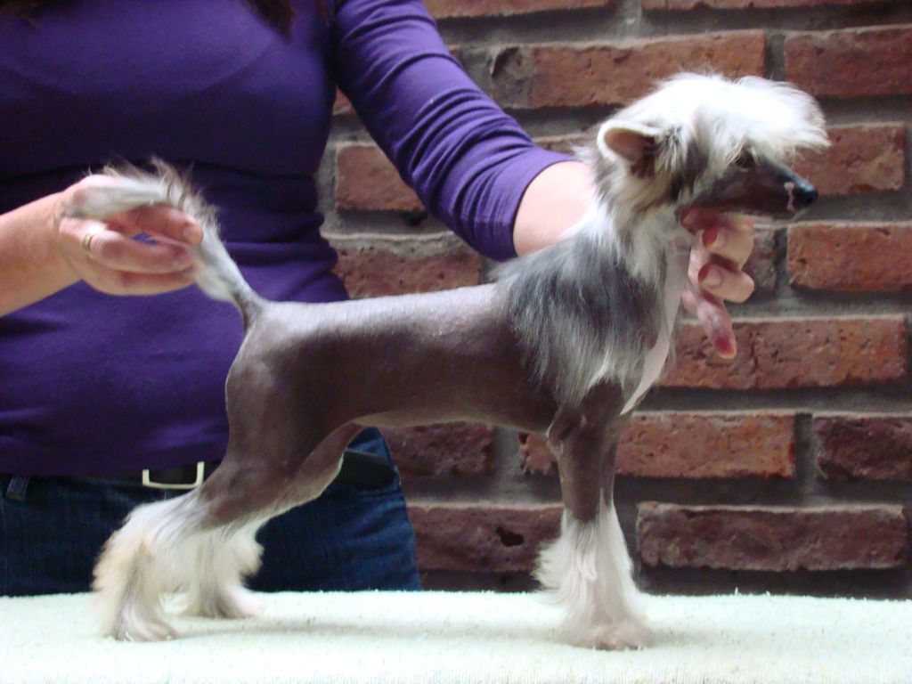 Patagonia Ranch Juliette