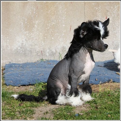 Frenja Black Just Black