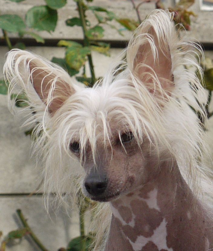 Changming Of Gizzy's Home