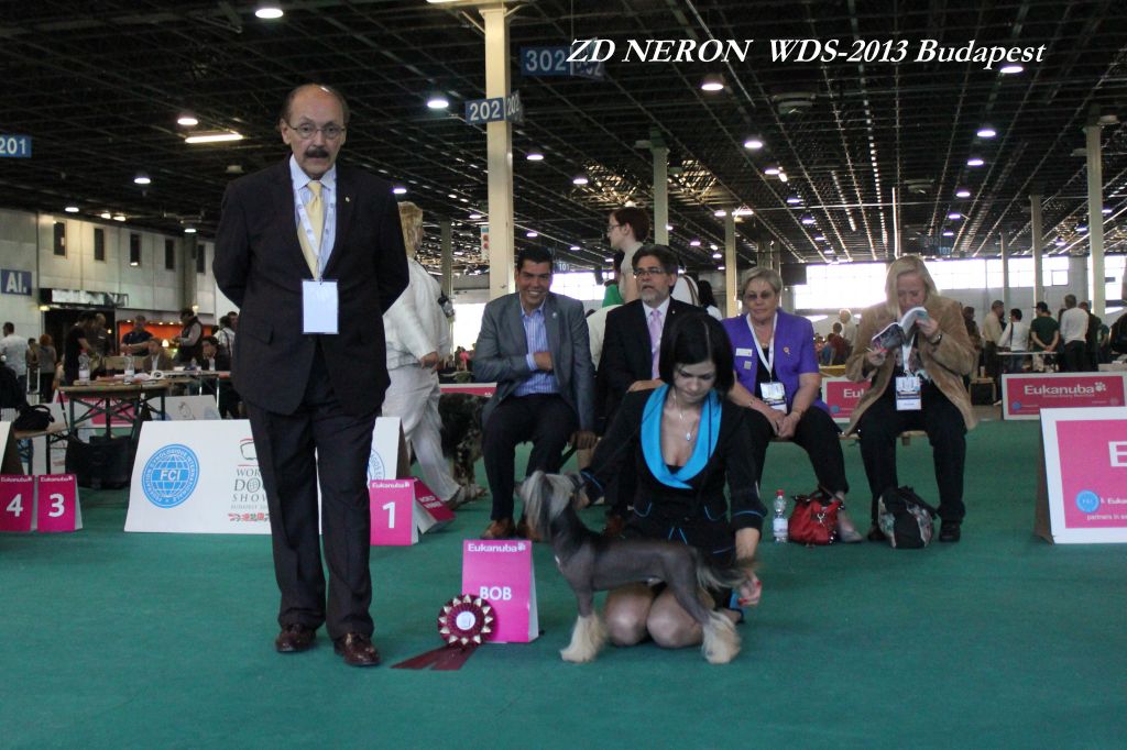 Zlato Dinastii Neron