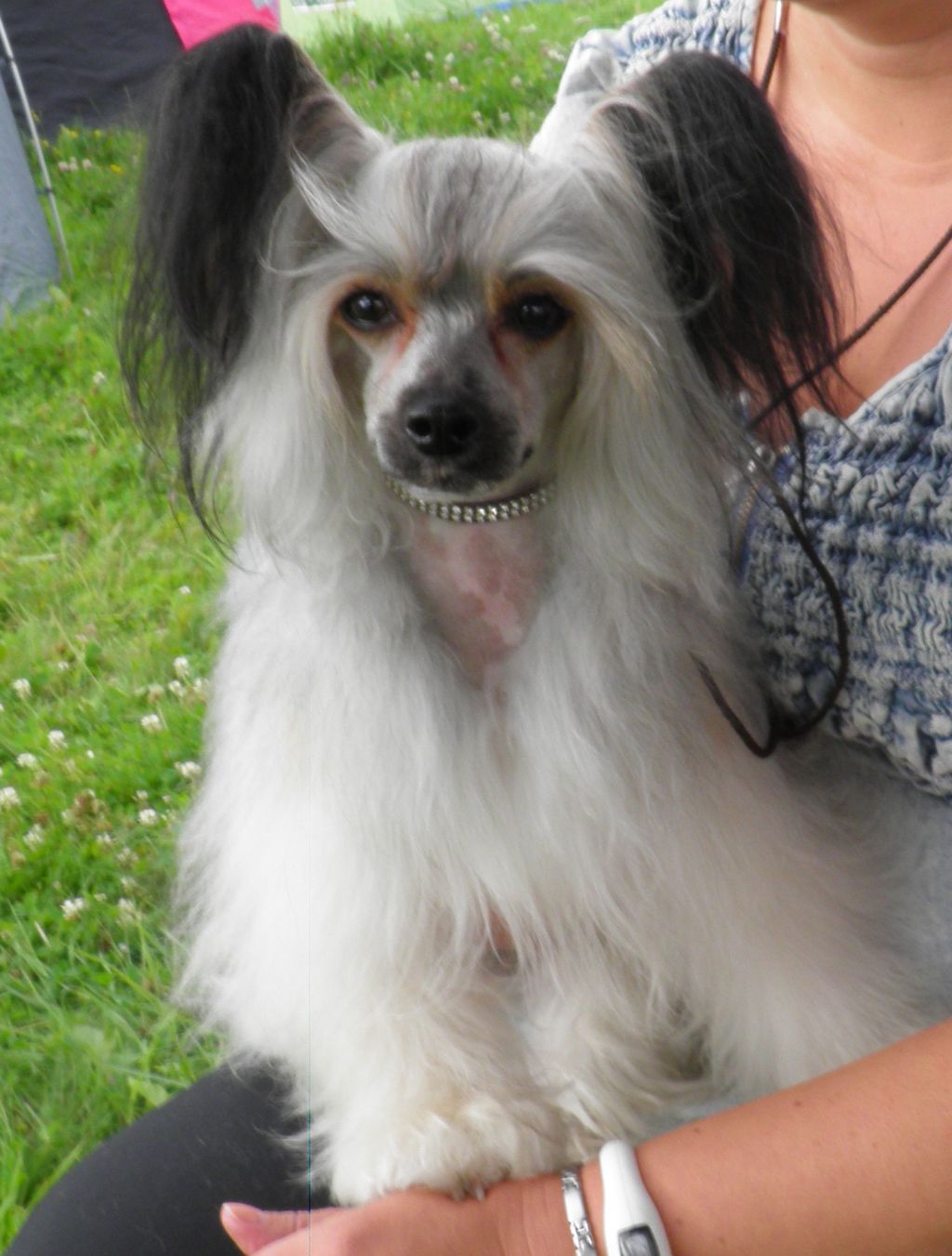 Mooncrystal's Atomic