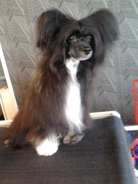 Mooncrystal's Amorphis