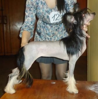 Radugnyi Mir Vesta Black Star