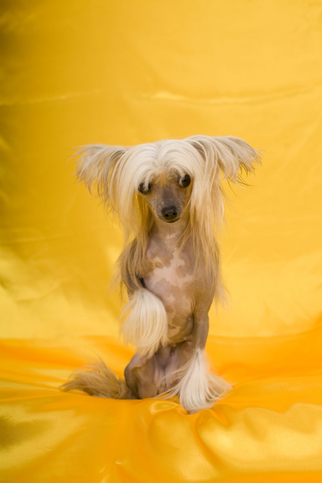 Born To Be Loved Diaz Of Gizzy's Home