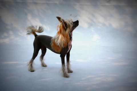 Born To Be Loved Dede Of Gizzy's Home