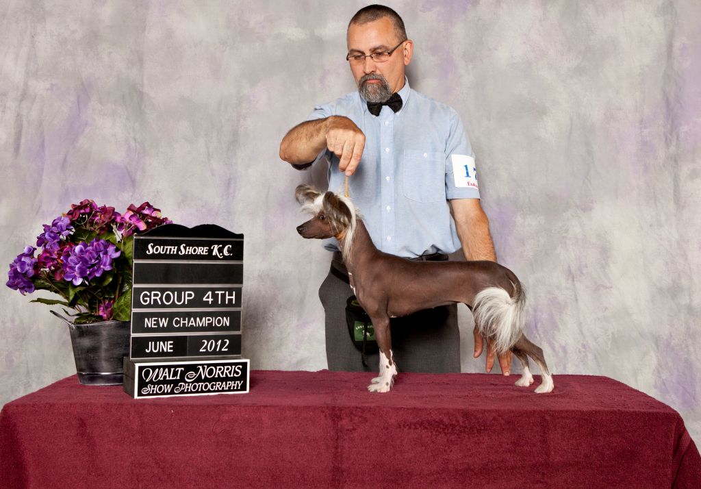 Seafoam's Naked N Nauti