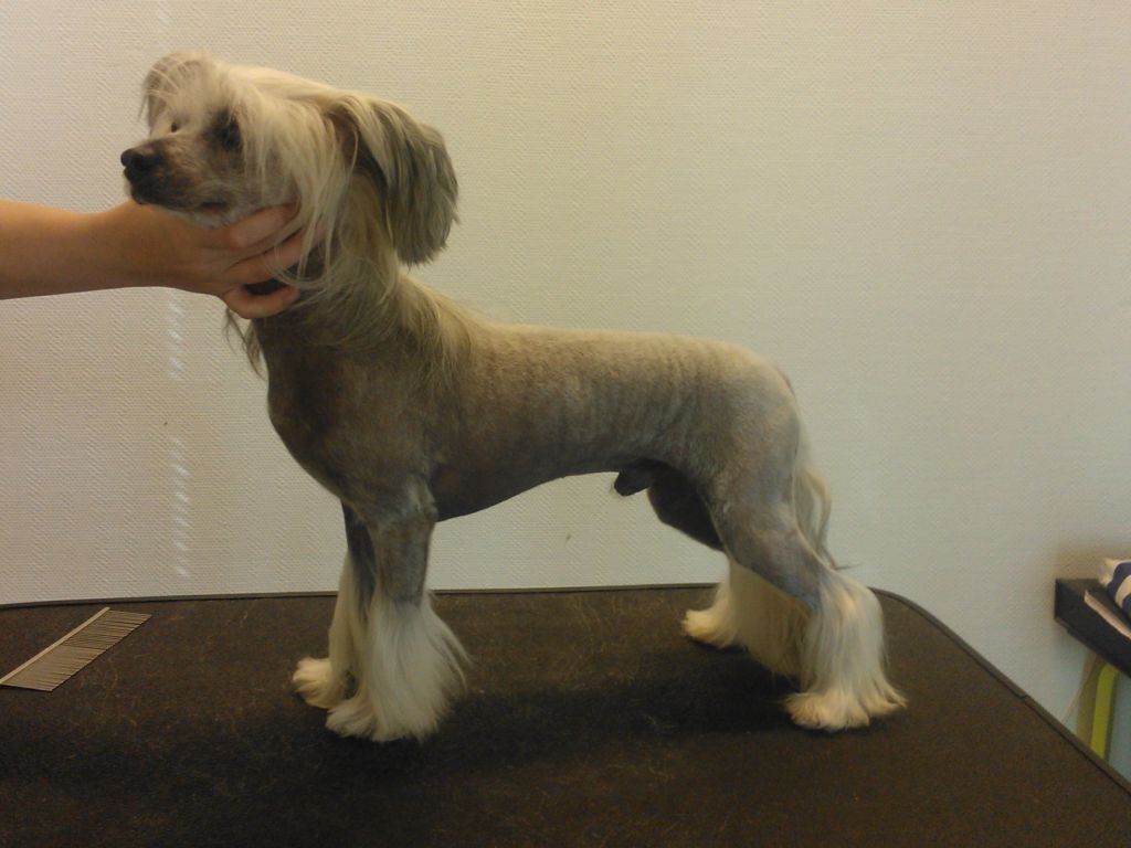 Laronja's Breaking Bad