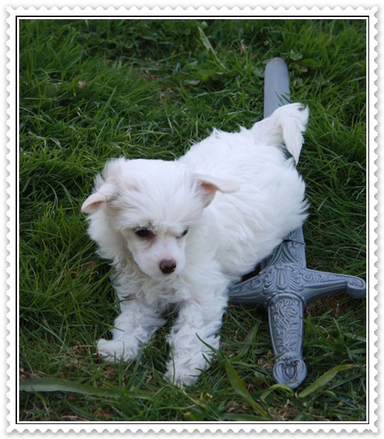 Frenja  White Hot Day