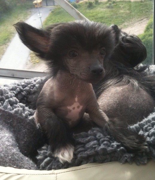 Equality Charming Casanova