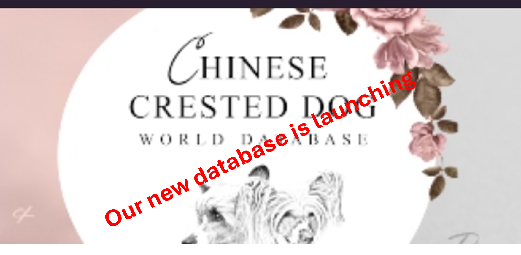 Important information - read now!