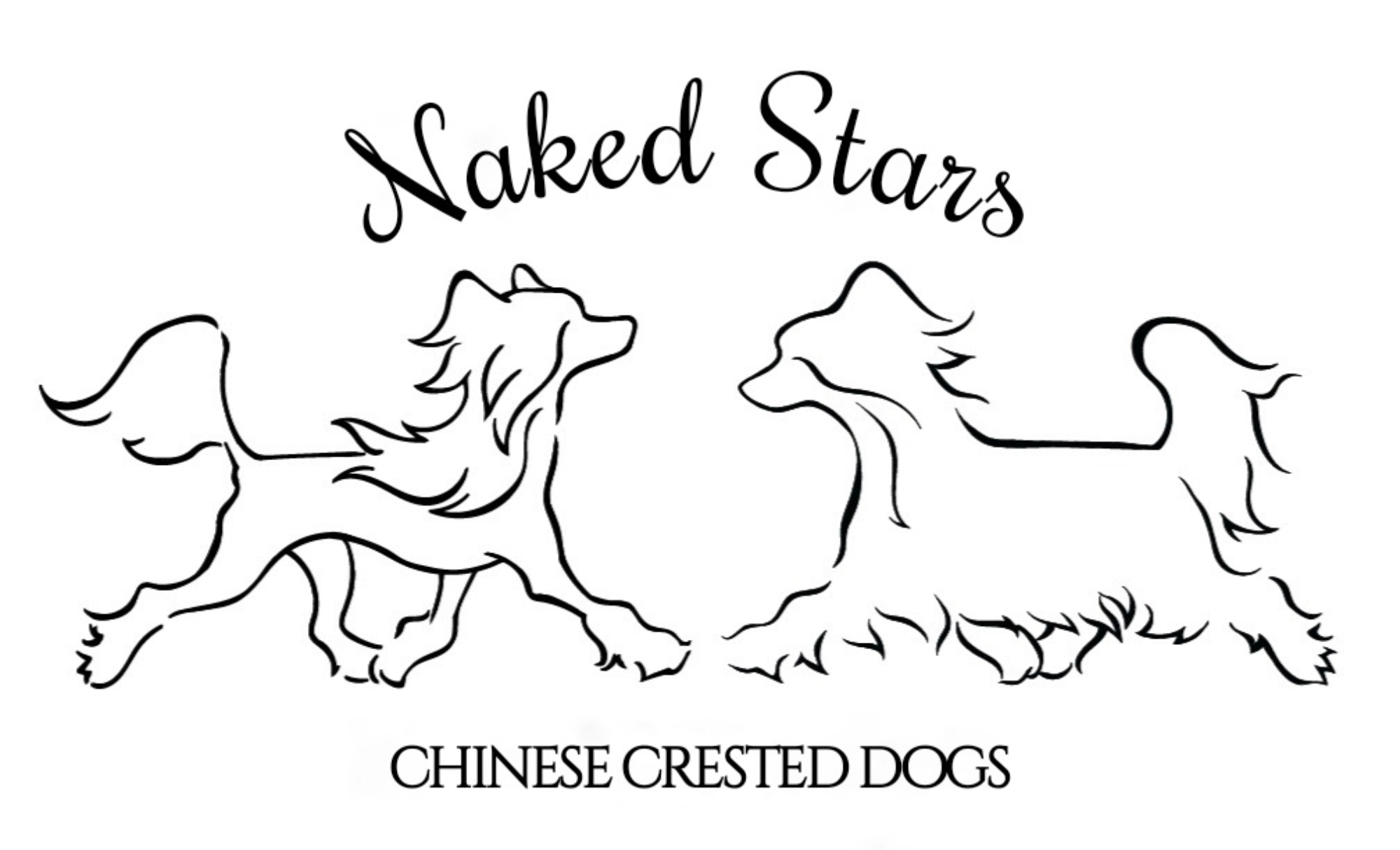 Naked Stars Logo