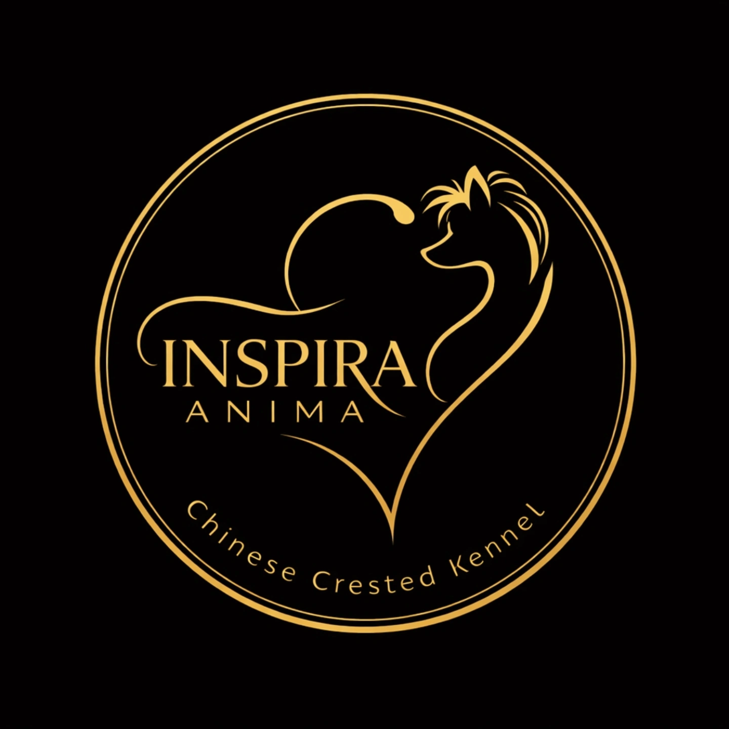 Inspira Anima Logo