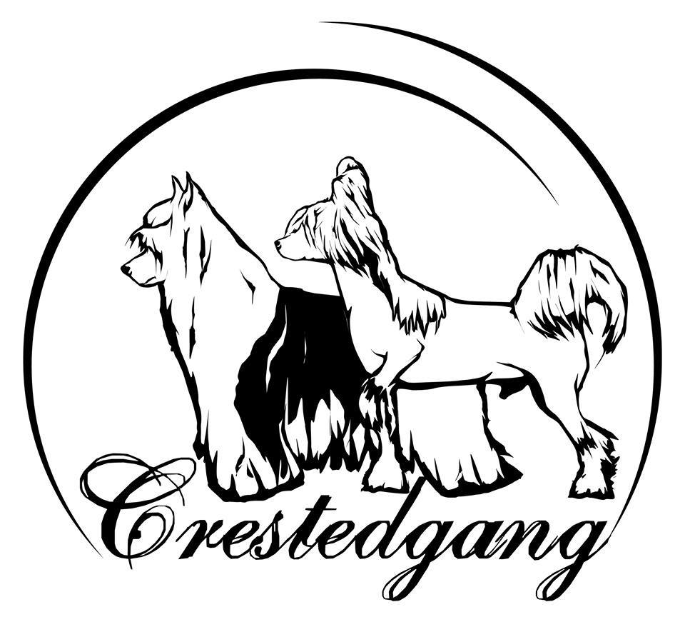CrestedGang Logo