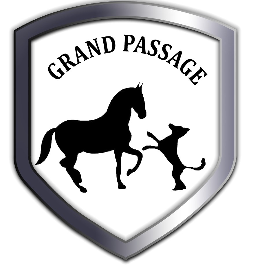 Grand Passage Logo