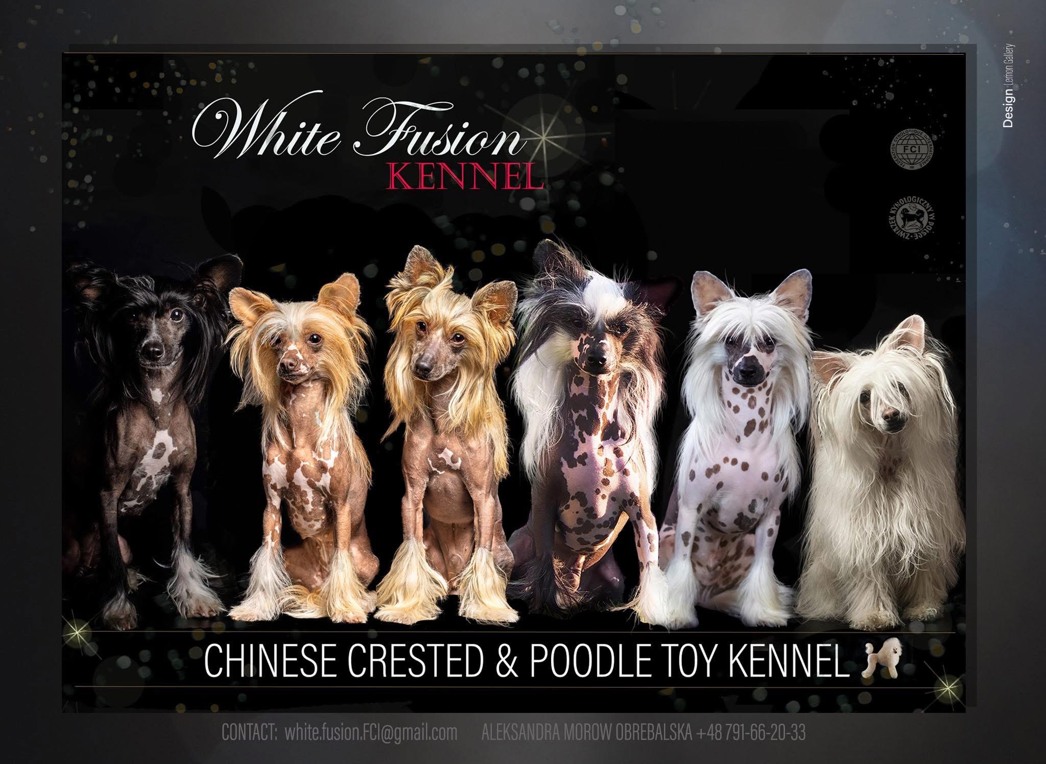 Kennel image