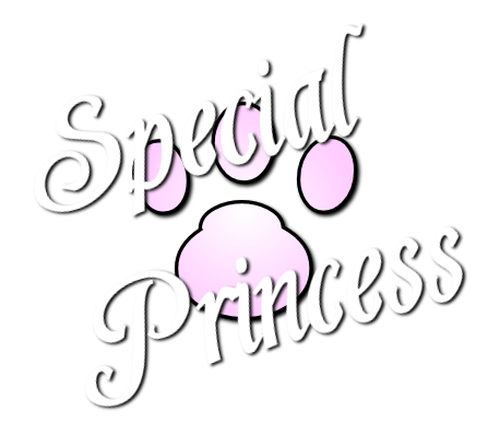 Special Princess Logo