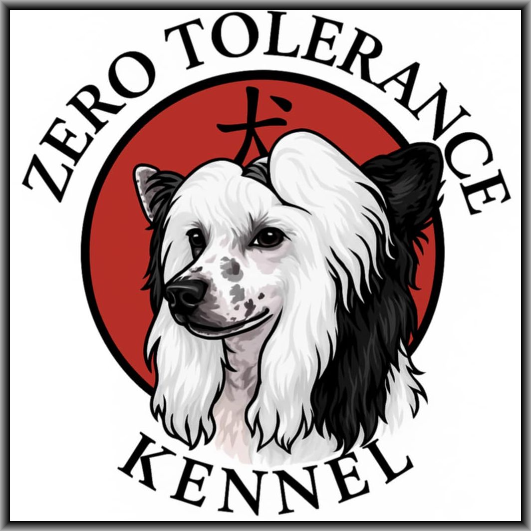 Zero Tolerance Logo