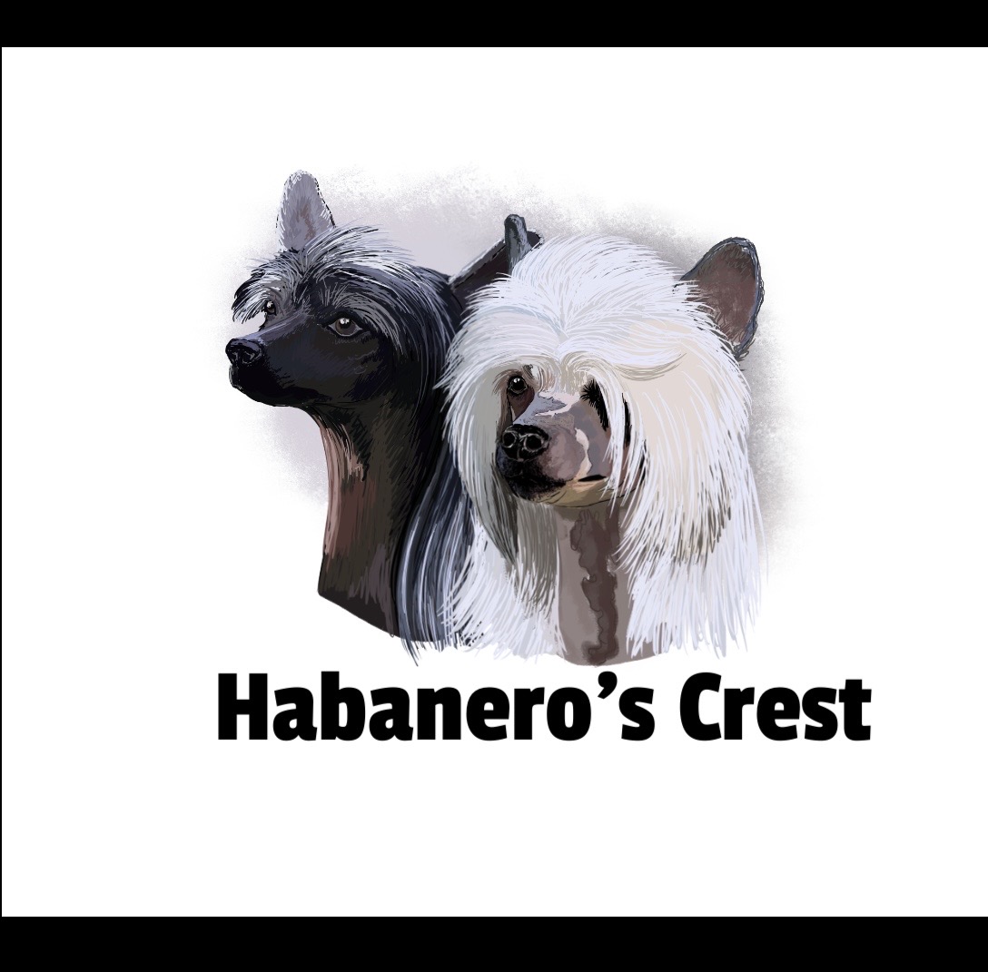Habanero’s Crest  Logo