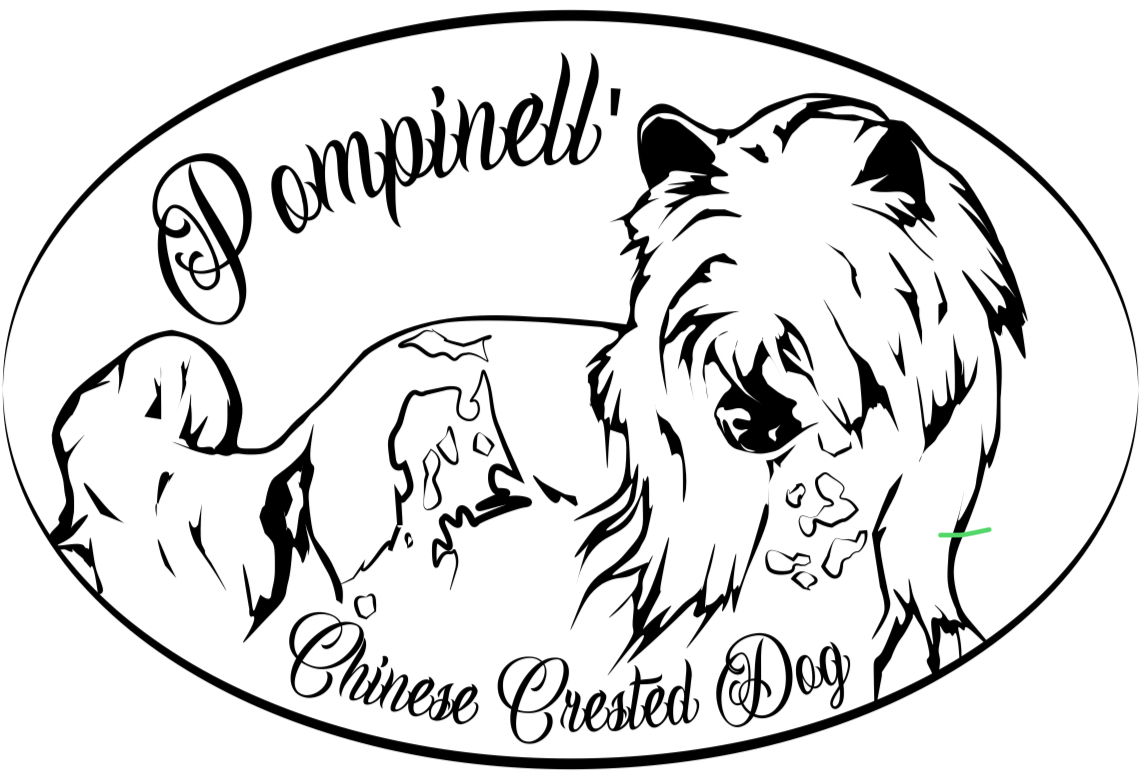Pompinell ´ Logo