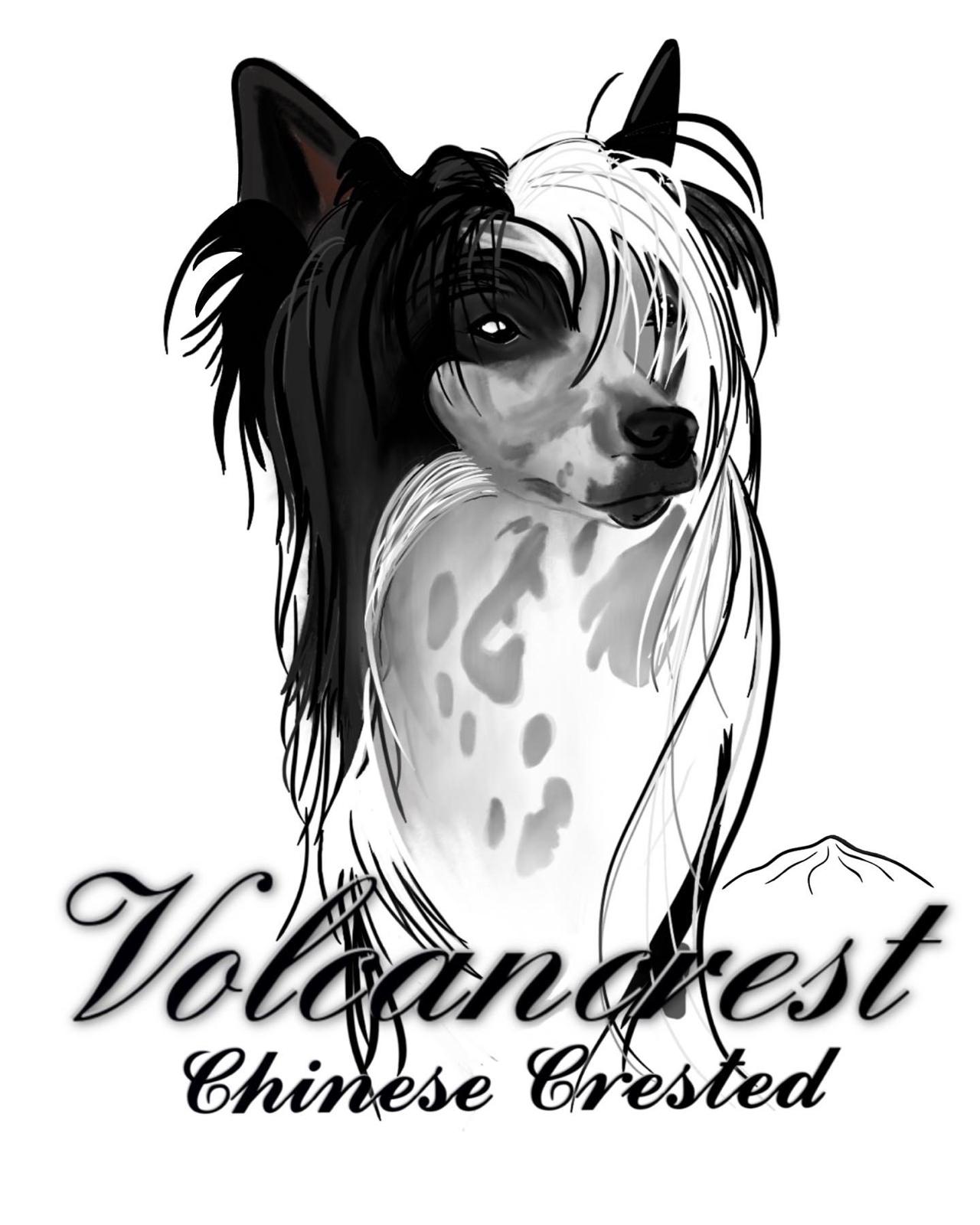 Volcancrest Logo