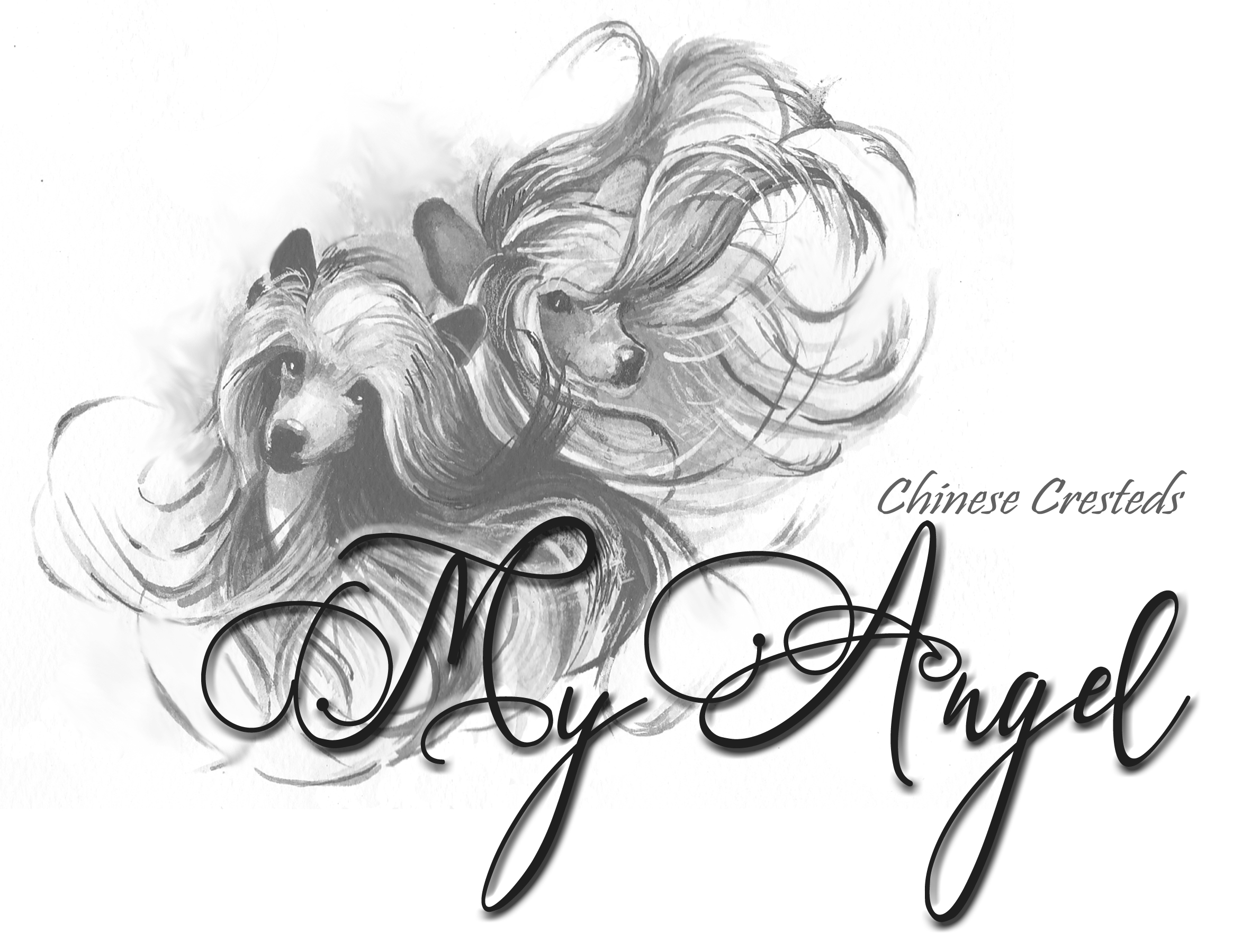 MyAngel Logo