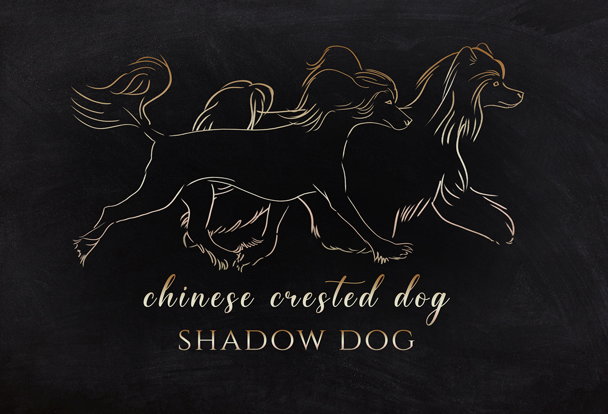 Shadow Dog Logo