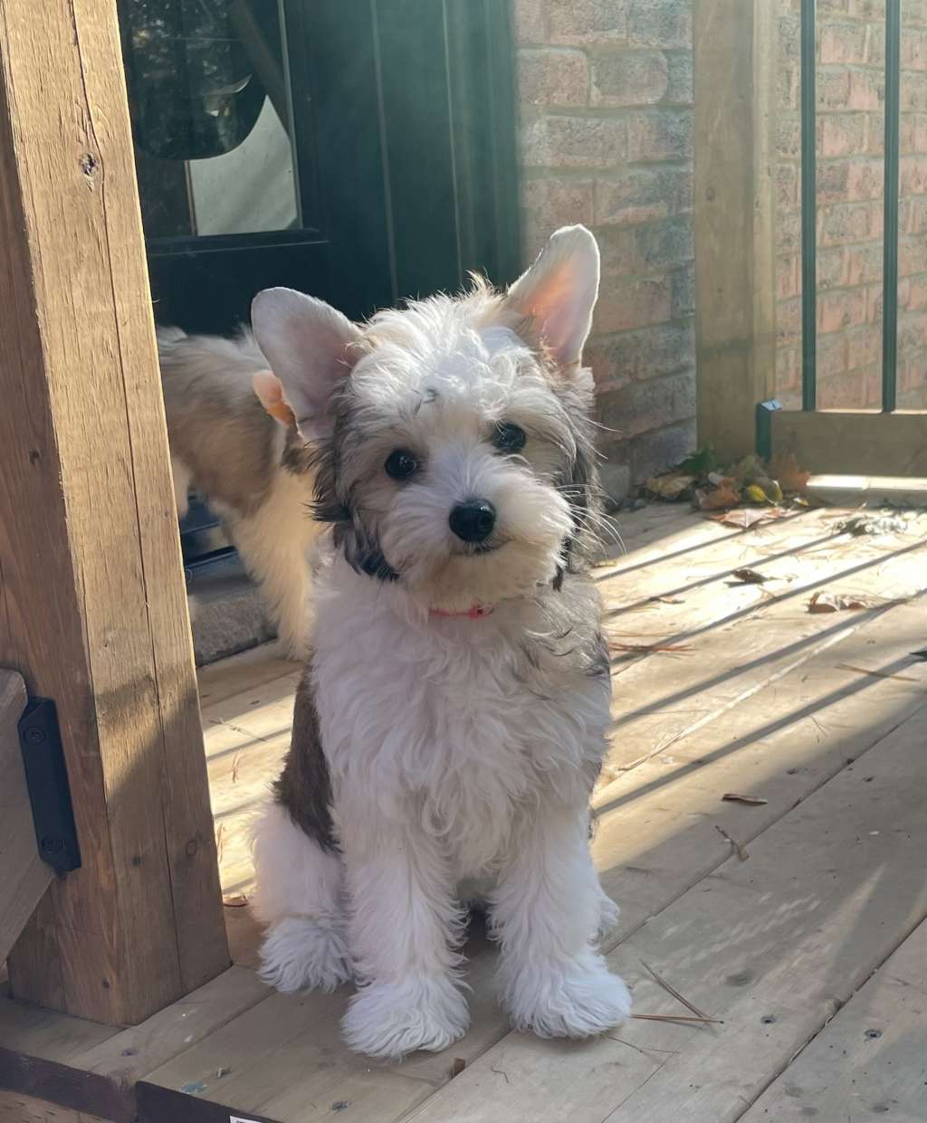 Homestead Everything is Honey at Gardine