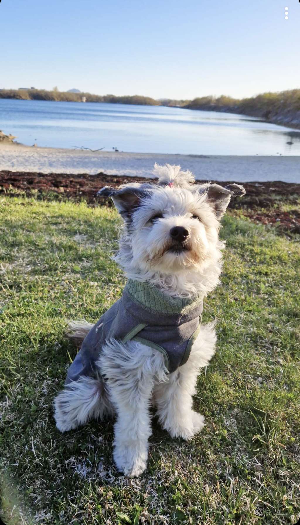 Beautiful Ms Noble by Naked Bubbles