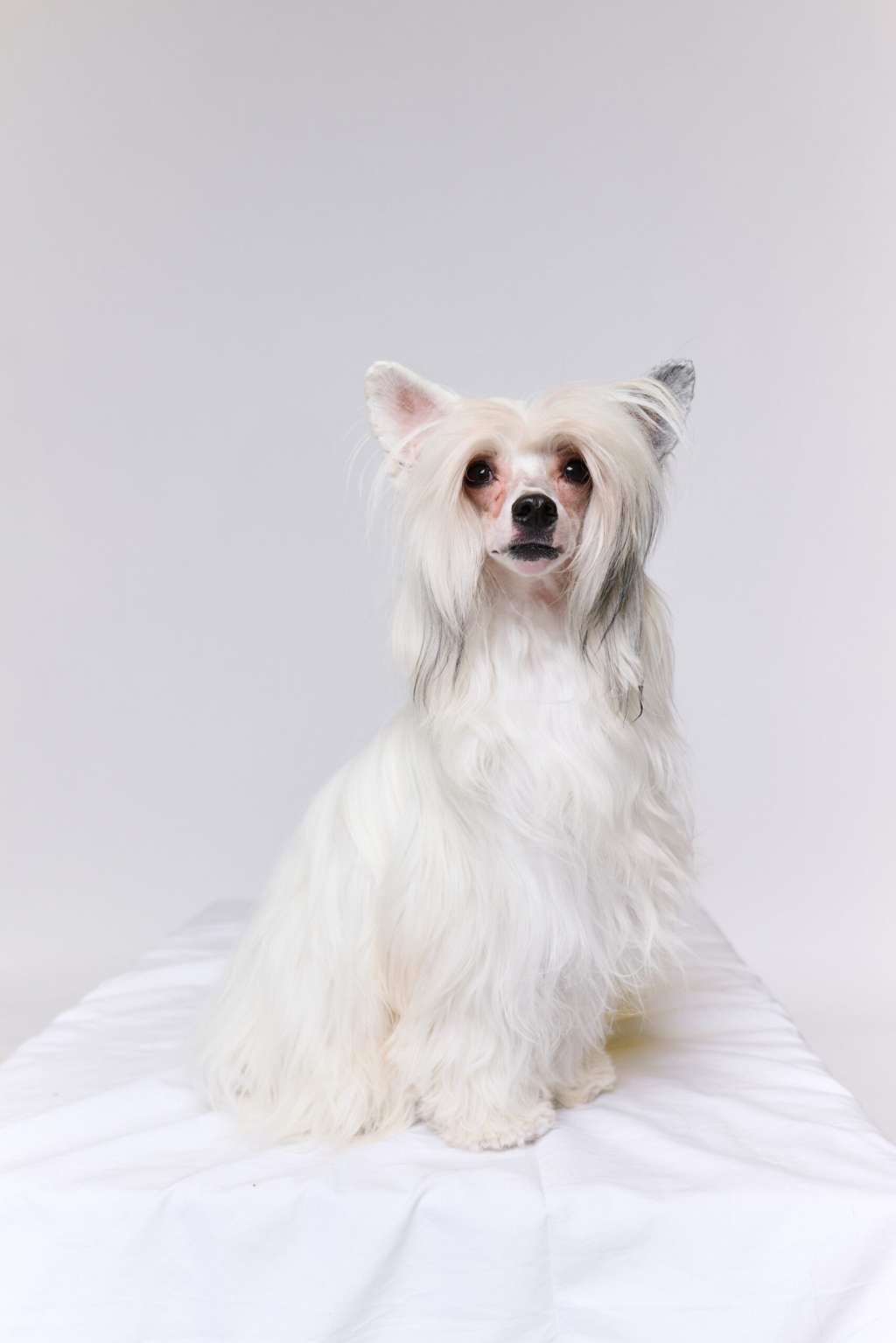 Zero Tolerance Xplore The Unknown