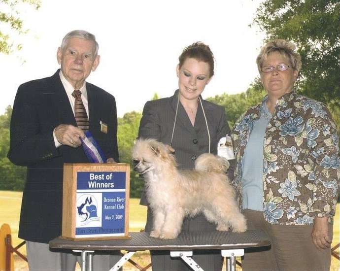 WesAnn's Bold And Beautiful