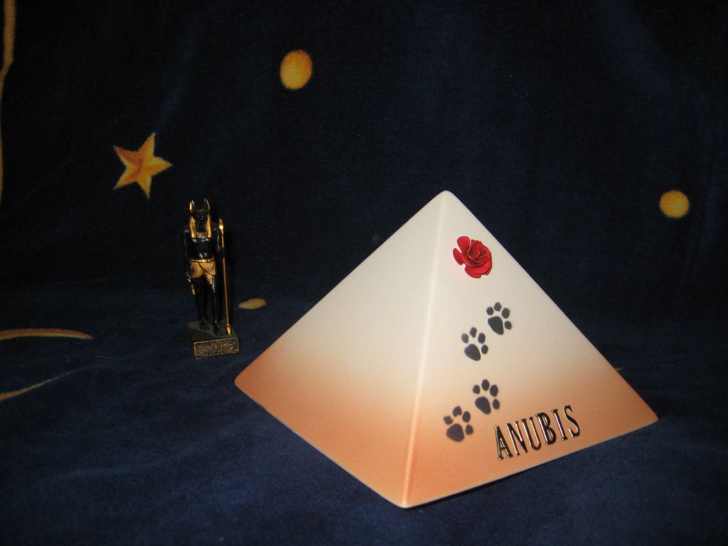 Anubis von Tif-tin-chi