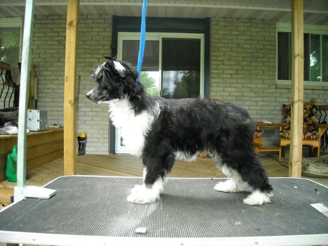 Xnipec Love You I Do 