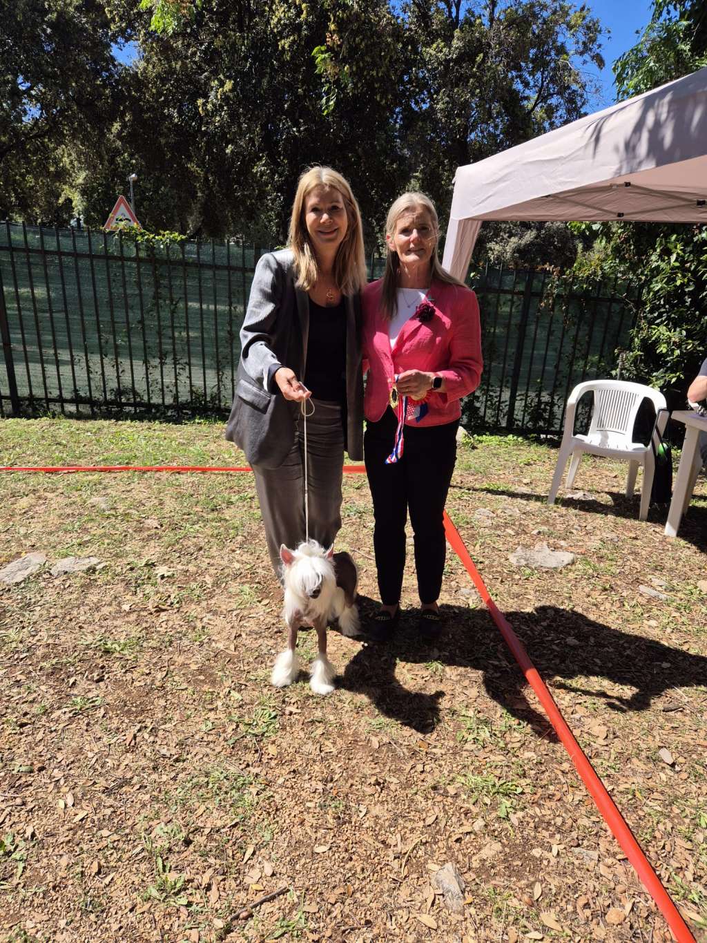 Cc Top Exclusive Sky Is The Limit