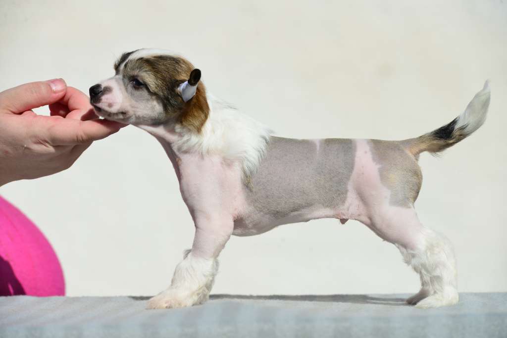 Sun Dan My Spot In The Ring