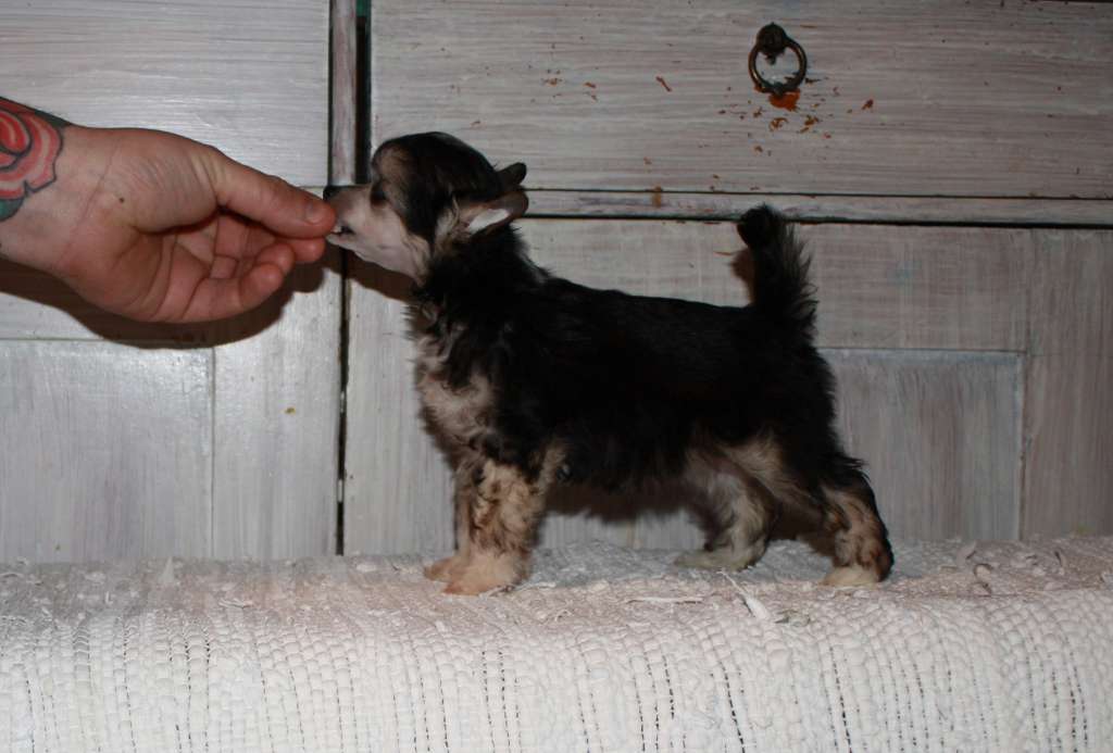 Love Bites When The Wild Wind Blows