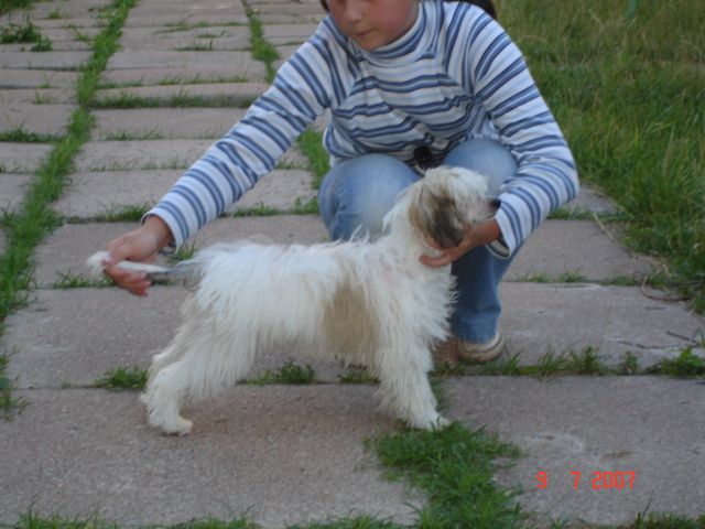 Picture