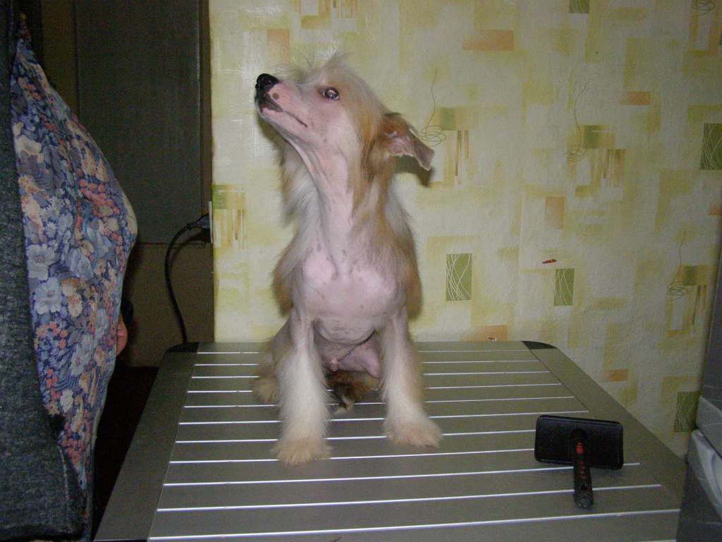 Ol Mary Kapi Joeffrey