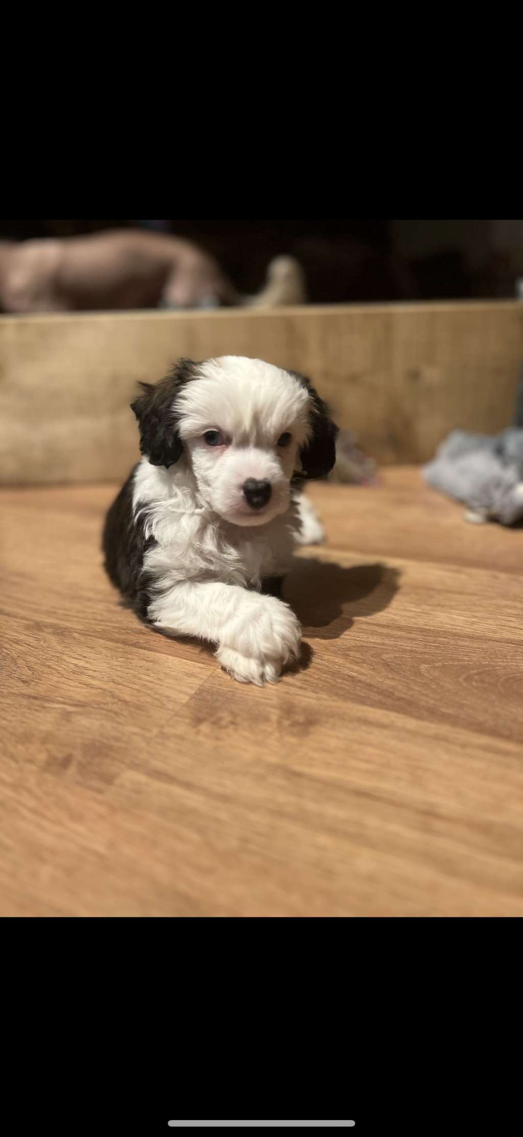 When The Lightning Strikes