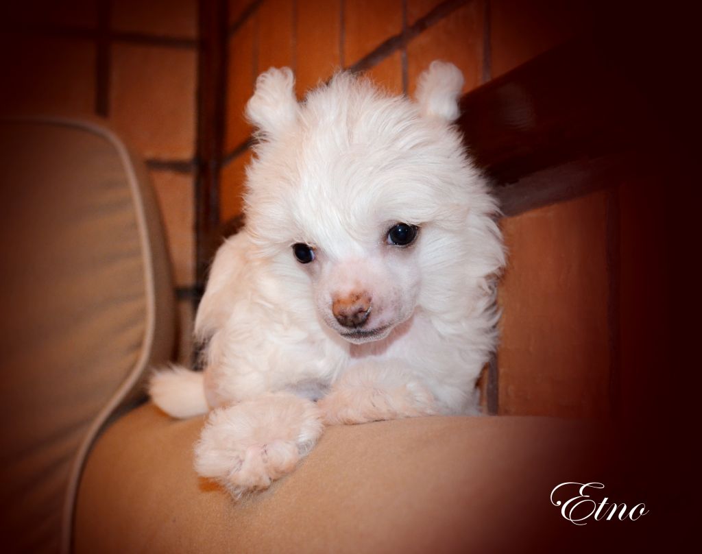 Etno Spirit   Alisiya