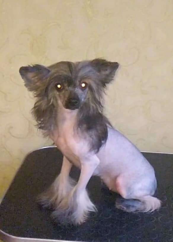 Magic of Success Lourdes